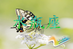 ˮƿŮ?yn)ʲô׃Ů?qing)