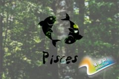p~(y)(hu)(du)ʲô¹ڑ