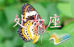 ̎ŮŮ(hu)?yn)ʲô׃Ů?qing)