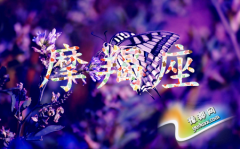 ĦŮ(hu)?yn)ʲô׃Ů?qing)