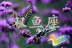 p~Ů(hu)?yn)ʲô׃Ů?qing)