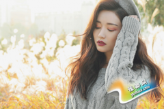 K2016Ф\(yn)