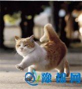 挦(du)ؓ(f)ķ(yng)