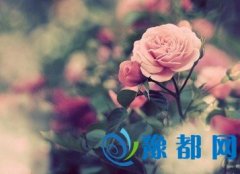 p~Ըȱc