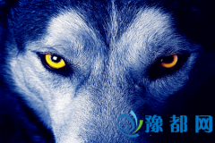 L(zhng)һpۡò