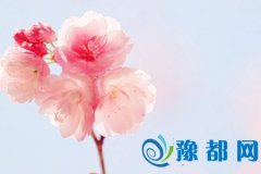 yǂ̎ˆ