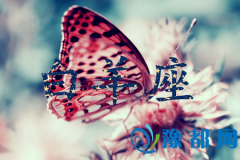 (dng)