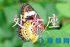 (dng)̎Ů