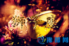 (dng){