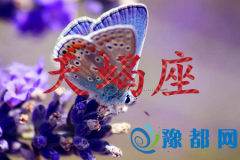 (dng)Ы
