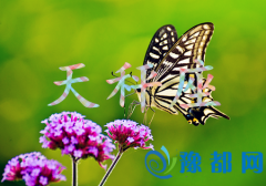 挍Ը