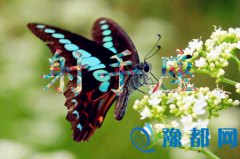 挍(sh)Ը