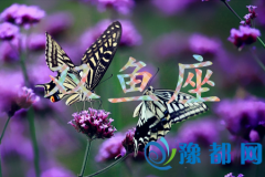 p~挍(sh)Ը