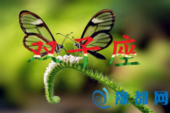 M10֣pöٷ
