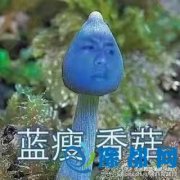 Ц{(ln)㹽holdסЦcry {(ln)㹽ʲô