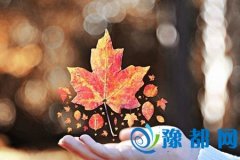 Ůט䶴20173\(yn)(sh)