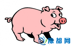 2019ʲô2019ʲô
