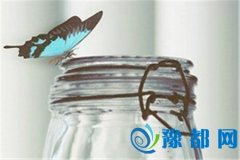 p~ʲôӵ