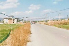 ̎Ůڐļж(qing)